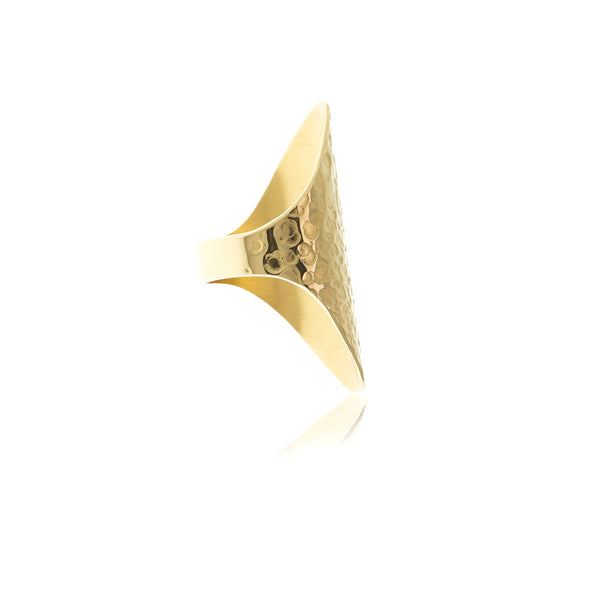 Sidereal Gold Hammered Ring - Georgina Jewelry
